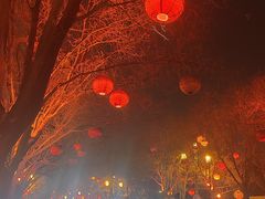 -大雁塔北广场音乐喷泉