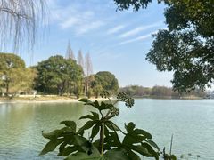 -蠡湖大桥公园