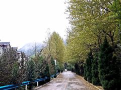 -洛阳白云山景区