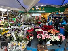 -曲阳花鸟市场(曲阳路店)