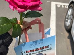 -山与蓝蛋糕(勒泰店)