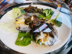 -日进一片海.生腌海鲜火锅.宵夜烧烤(三里屯总店)