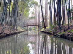 -同里国家湿地公园