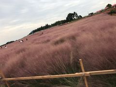 -酒仙湖景区