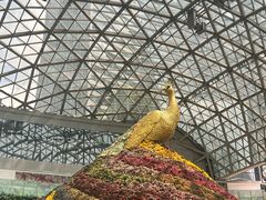 -花之城