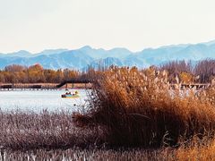 -野鸭湖国家湿地公园