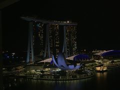 -新加坡文华东方酒店