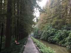 -上海怡沁园度假酒店