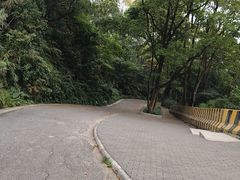 -广州市帽峰山景区