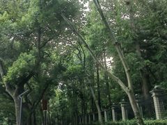 -上海月湖雕塑公园