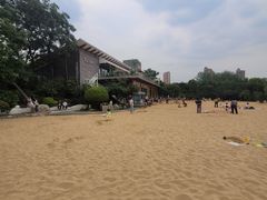 -青枫公园