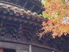 -八大山人梅湖景区