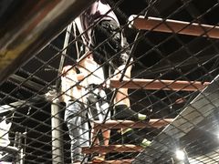 -VFSC极限蹦床主题公园(乐园道彩悦城阳光店)