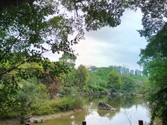 -广西壮族自治区药用植物园