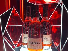 -精绝七日-新疆尼雅遗址数字大展【拉法耶文化艺术中心】