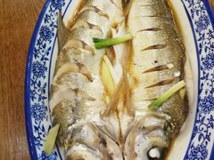 -老马家·舌尖上的西塘美食