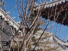 -长安寺