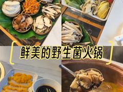 -菌海森林·非遗野生菌火锅(西山区滇池路摩根道店)