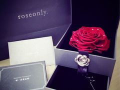 -ROSEONLY诺誓(青岛万象城店)