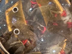 -四海蒸鲜蒸汽海鲜自助(北戴河店)