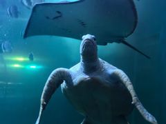 -太平洋海底世界