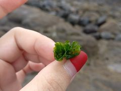 -厦门湾·白塘湾火山公园