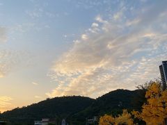 -玫瑰海岸文化旅游度假区