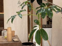 -元古雲境(南京万象天地店)