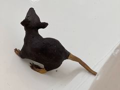 -胶囊画廊