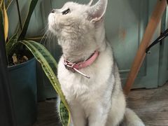 -小时光咖啡馆(北锣鼓巷店)