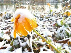 -长春世界雕塑园冰雪艺术天地