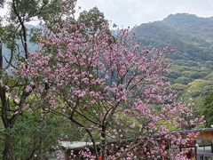 -福清灵石山国家森林公园