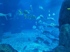 -福州罗源湾海洋世界旅游区