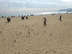 -海云台海滩