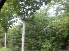-黄河花园口旅游区