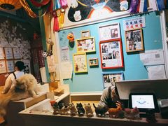 -猫小院猫主题咖啡厅(北锣店)