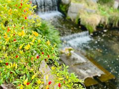 -东钱湖旅游度假区