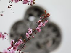 -国家植物园