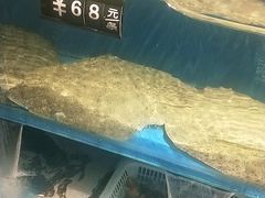 水产区-安东海鲜烧烤大排档(普兰店区店)