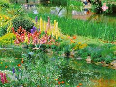 -上海共青森林公园