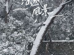 -灵谷景区
