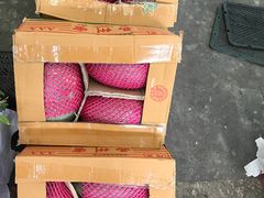 -双福水果批发市场