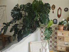-AHAVA·Fang Baking Studio