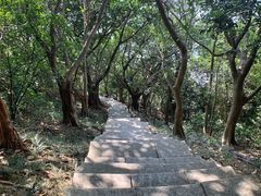 -小南山公园