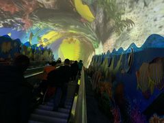 -成都浩海立方海洋公园