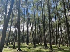 -硗碛藏寨·神木垒景区