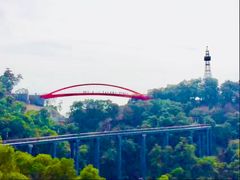 -金鸡山公园