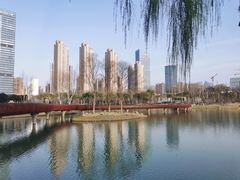 -后襄河公园