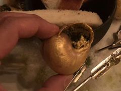 -金蜗牛