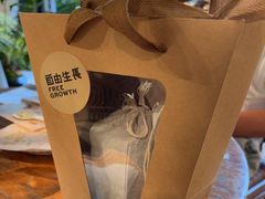 -自由生长植物工作室(深港花卉中心店)